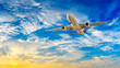 © ABCDstock - Commercial airplane flying in beautiful sky at sunset,travel concept.