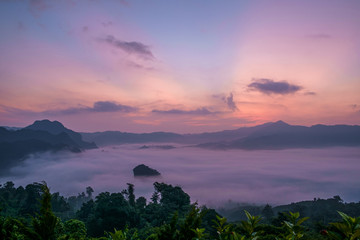 Wall Mural - Traveling to see the sea of mist and sunrise in the morning at the view of Phu Lanka, Phayao Province, Thailand