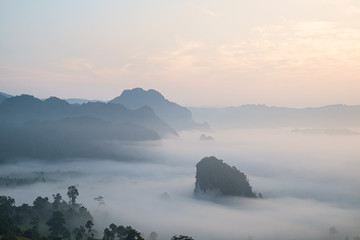 Wall Mural - Traveling to see the sea of mist and sunrise in the morning at the view of Phu Lanka, Phayao Province, Thailand