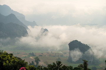 Wall Mural - Traveling to see the sea of mist and sunrise in the morning at the view of Phu Lanka, Phayao Province, Thailand