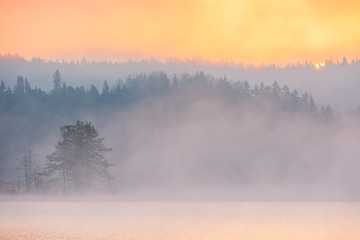 Sun rising above forest and misty lake, Sweden.