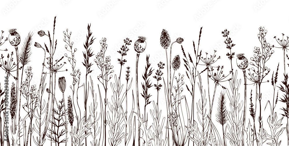 Seamless horizontally border with meadow wild flowers and herbs. - obrazy, fototapety, plakaty 
