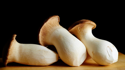 Poster - mushrooms on black background