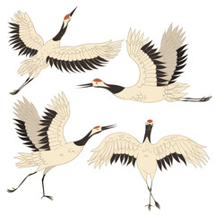  Set of Japanese crane birds isolated on a white background. Vector