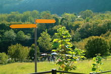 Vivid Orange Road Sign In The Vibrant Green Sunny Park
