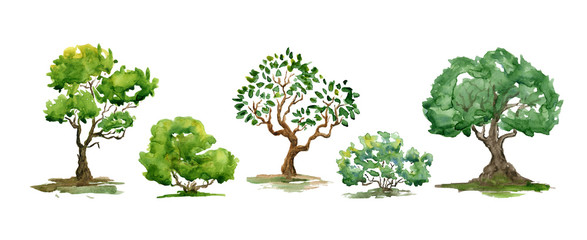 Wall Mural - watercolor summer trees, bush. set of hand drawn green plants. landscape. nature