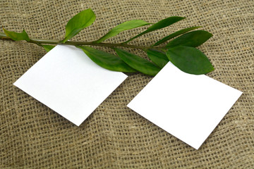 
green branch and white sheet of paper with place for text on a background of linen. Flat lay