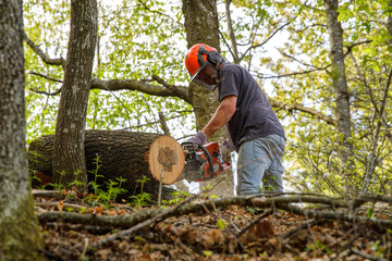 lavorazioni forestali con Motosega