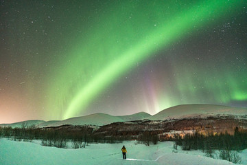 aurora - a woman- snow- winter