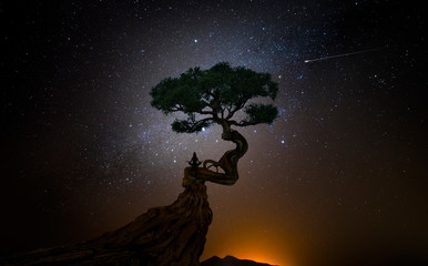 Wall Mural - yoga woman under a tree in front of the universe