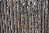 Fototapeta Las - Old wood texture