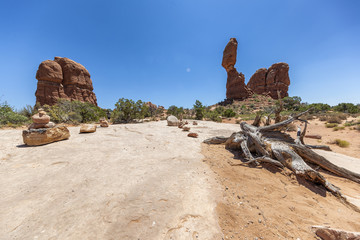 Canvas Print - Bare trees in Arches National Park, Utah