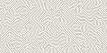 Vector Seamless Black And White Organic Rounded Maze Lines Pattern. Abstract Background In Biological Style
