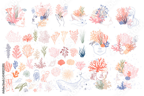 Collection of woman face portrait, underwater world, seaweed and marine animals elements Poster Mural XXL