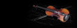Shiny violin and bow isolated on black