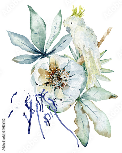 Fotografía Tropical watercolor illustration