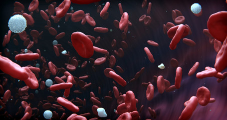 3d illustration of blood composition. White and red blood bodies, macrophages.
