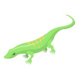 Fototapeta Dinusie - Striped green lizard icon. Isometric of striped green lizard vector icon for web design isolated on white background