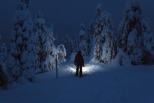Trekker With A Headlamp Walking In A Snowy Riisitunturi National Park, Finland