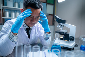Wall Mural - the researchers are working in a chemical laboratory.