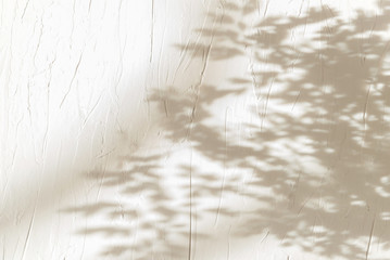 Wall Mural - Summer background of shadows tree on a white wall. White and Black for overlaying a photo or mockup