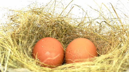 Two wild chicken eggs in a yellow grass nest on a white background