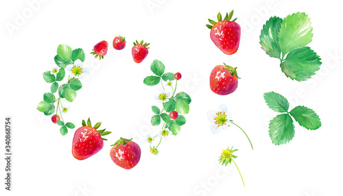 イチゴの丸いフレーム 水彩イラスト Buy This Stock Illustration And Explore Similar Illustrations At Adobe Stock Adobe Stock