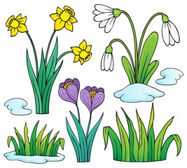 Wall Mural - Early spring flowers theme set 1