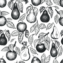 Pears And Apples Seamless Pattern. Hand Drawn Vector Garden Fruit Illustration. Engraved Style Fruit Design. Retro Botanical Background.