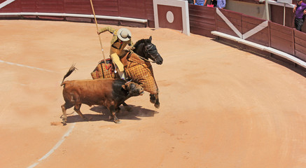 Poster - scènes de corrida