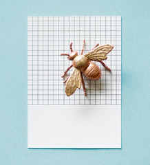 Wall Mural - Colorful miniature fly on a paper