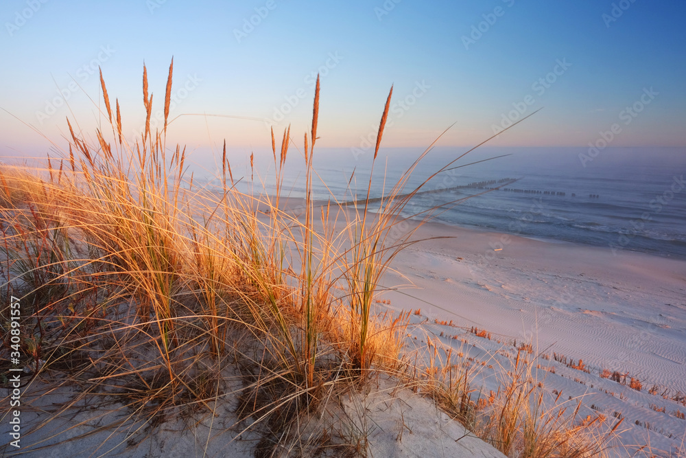 Wydmy na wybrzeżu Morza Bałtyckiego,plaża w Dźwirzynie o wschodzie słońca. - obrazy, fototapety, plakaty 