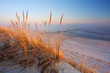 Wydmy na wybrzeżu Morza Bałtyckiego,plaża w Dźwirzynie o wschodzie słońca.