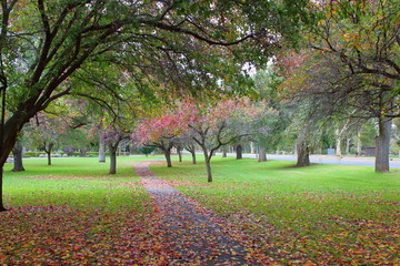 Poster - autumn in the park in adelaide