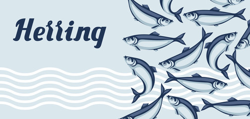  Background with herring fish. Pacific sardine.