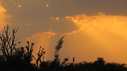 Wall Mural - sunset with sunbeam or ray background