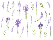 Watercolor Lavender Sprigs Set