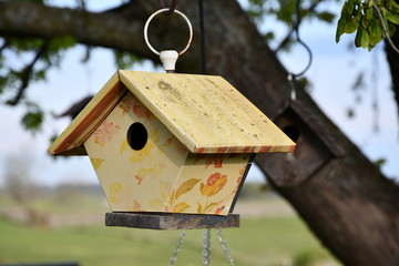 Wall Mural - Birdhouse