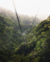 Wall Mural - chinese national park