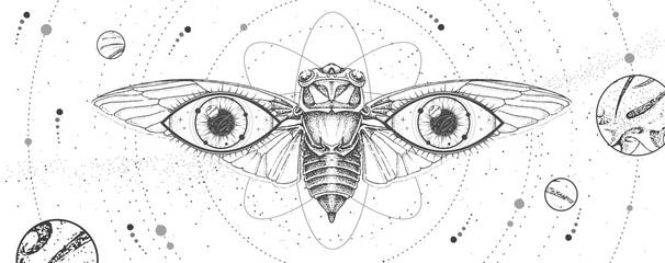 Wall Mural - modern magic witchcraft card with solar system, cicada and all-seeing eye. hand drawing occult vecto