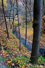 Wall Mural - An autumn landscape with trees lining a small stream flowing at the bottom of a sandstone canyon.
