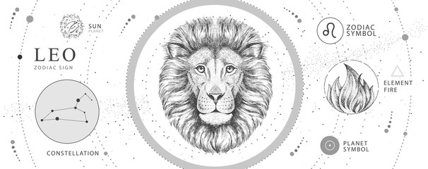Wall Mural - modern magic witchcraft card with astrology leo zodiac sign. realistic hand drawing lion head. zodia
