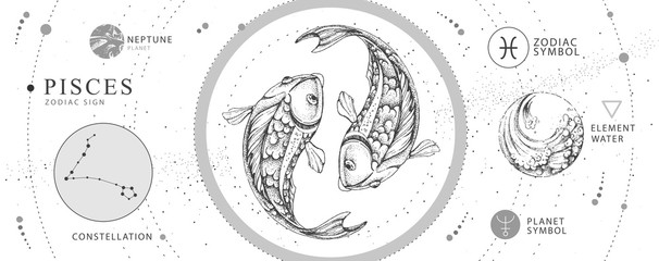 Wall Mural - modern magic witchcraft card with astrology pisces zodiac sign. realistic hand drawing koi fish illu