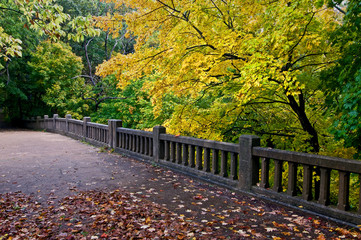 Wall Mural - A footbridge littered with autumn leaves leads the viewer into a colorful autumn landscape.