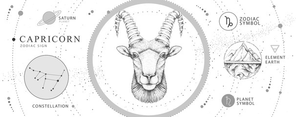 modern magic witchcraft card with astrology capricorn zodiac sign. realistic hand drawing ram or mou