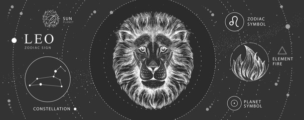 Wall Mural - modern magic witchcraft card with astrology leo zodiac sign. realistic hand drawing lion head. zodia