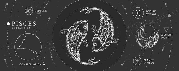 Wall Mural - modern magic witchcraft card with astrology pisces zodiac sign. realistic hand drawing koi fish illu