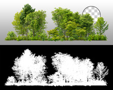 Cutout Tree Line. Forest And Green Foliage In Summer.
Row Of Trees And Shrubs Isolated On Transparent Background Via An Alpha Channel. Forest Scape. High Quality Clipping Mask .