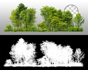 Wall Mural - cutout tree line. forest and green foliage in summer. row of trees and shrubs isolated on transparen