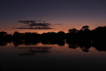 Trees silhouette and their beautiful reflections on a lake after sunset. This lake is located on the city park named 